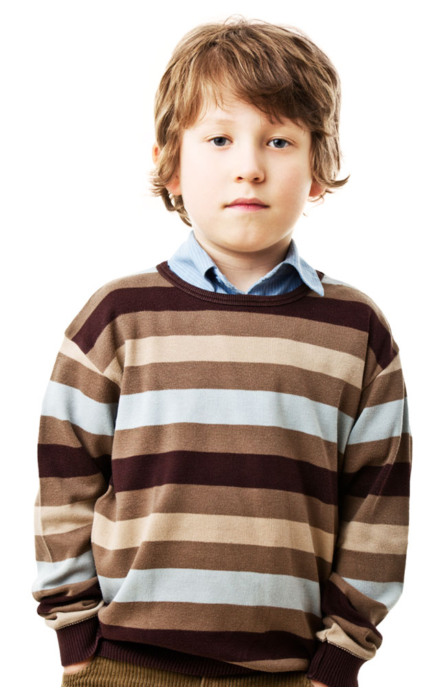 Hermitage Brown Striped Pullover Main Image